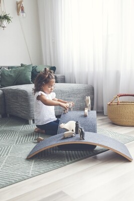 Balance Board - Mouse Felt