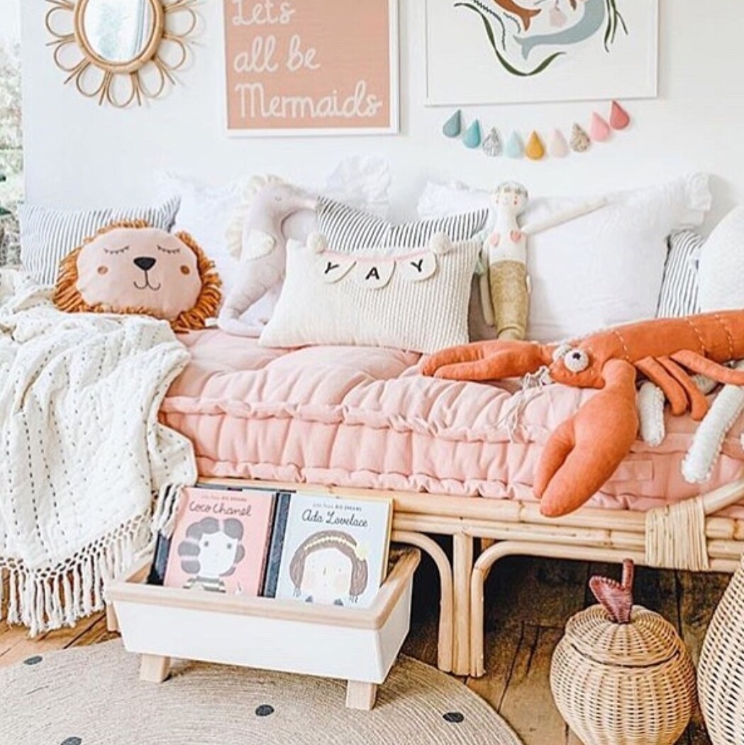 Pull Out Book and Toy Storage