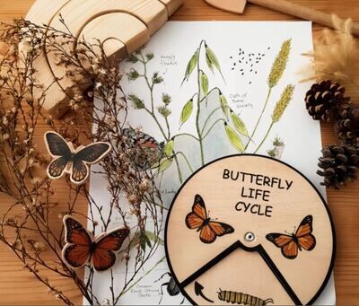 Wooden Education Montessori Cycle - Butterfly