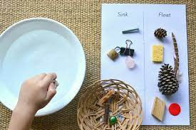 Montessori Activities: Sink/Float