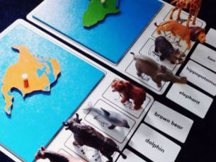 Montessori Activities: Animals / Continents