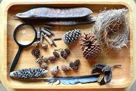 Montessori Activities: Nature Tray