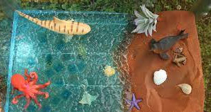 Montessori Activities: Land and Sea Sorting